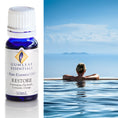Load image into Gallery viewer, Restore Essential Oil Blend
