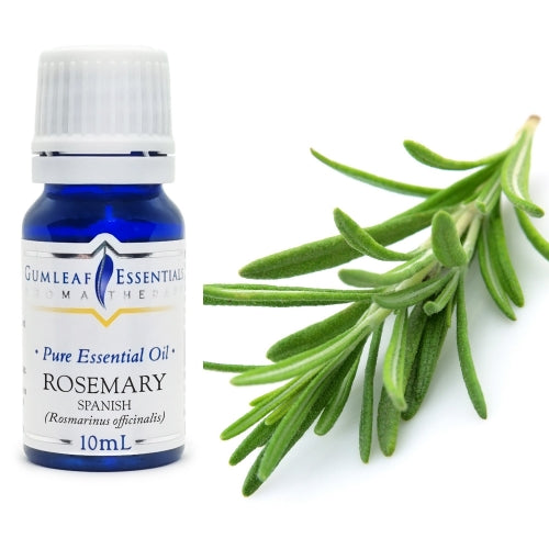 Rosemary Spanish Pure Essential Oil