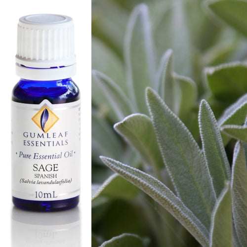 Sage (Spanish) Pure Essential Oil