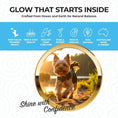 Load image into Gallery viewer, Skin & Coat Support | New Zealand Hoki Fish Hemp Infused Treats for Dogs | 70g
