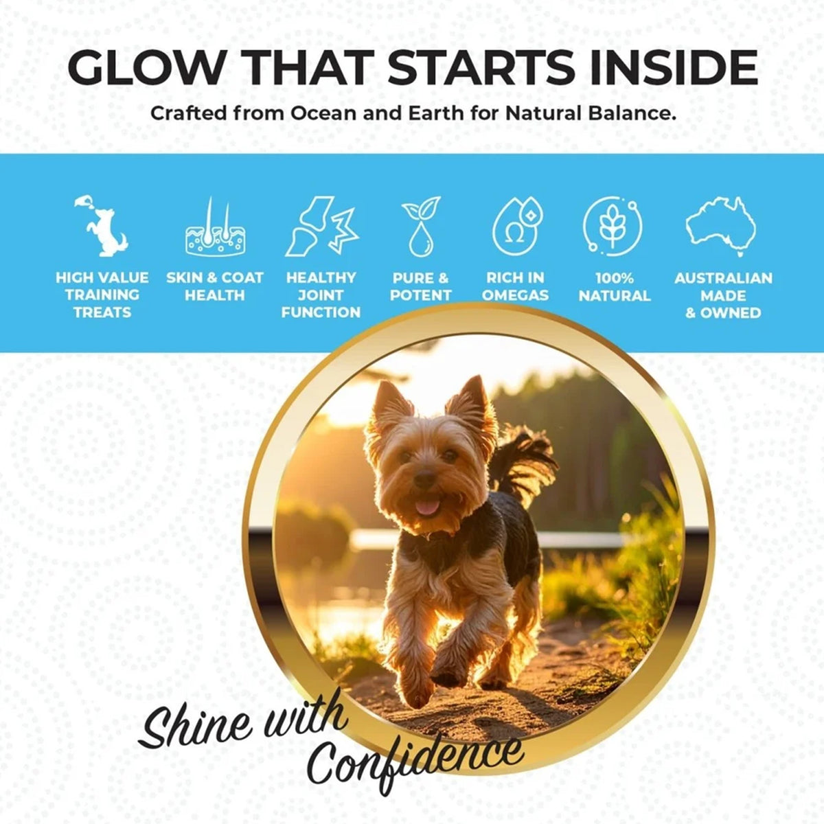 Skin & Coat Support | New Zealand Hoki Fish Hemp Infused Treats for Dogs | 70g