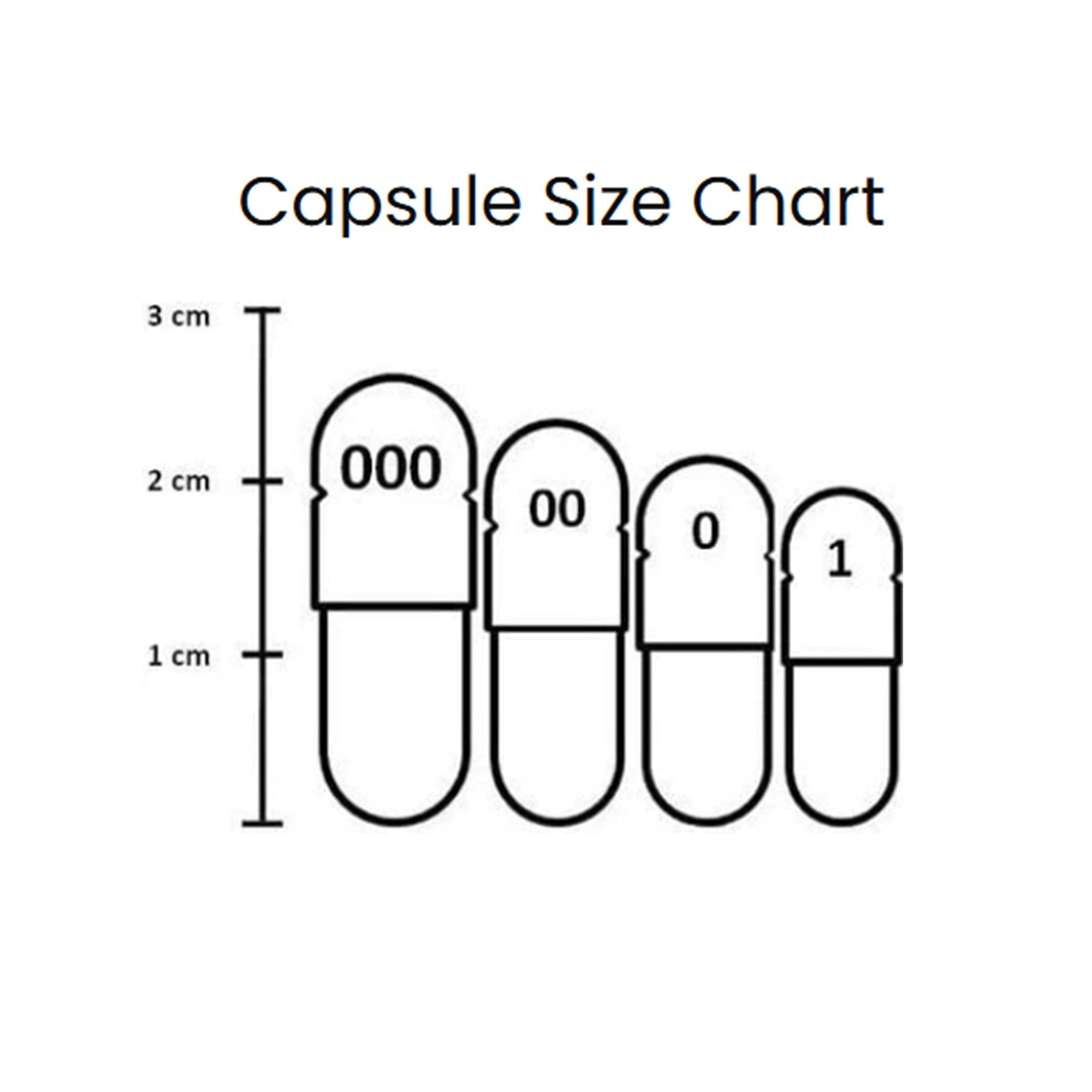 Capsule Filling Machine