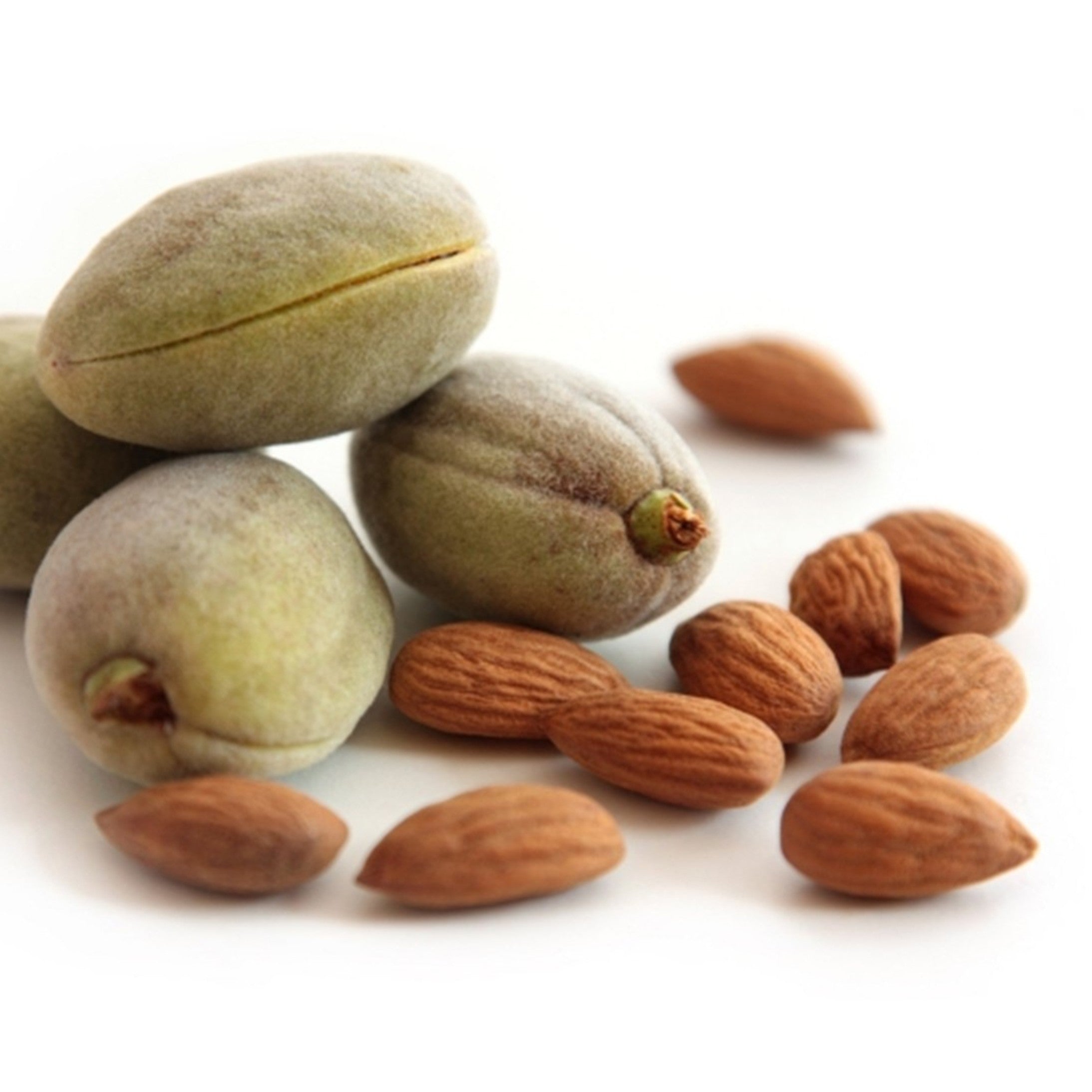 Carrier Oil - Sweet Almond