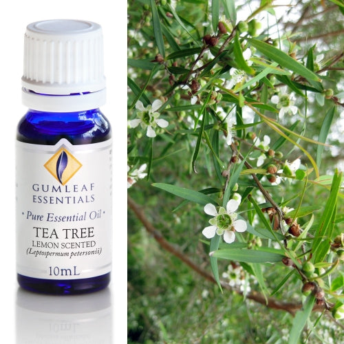 Tea Tree Australian Pure Essential Oil