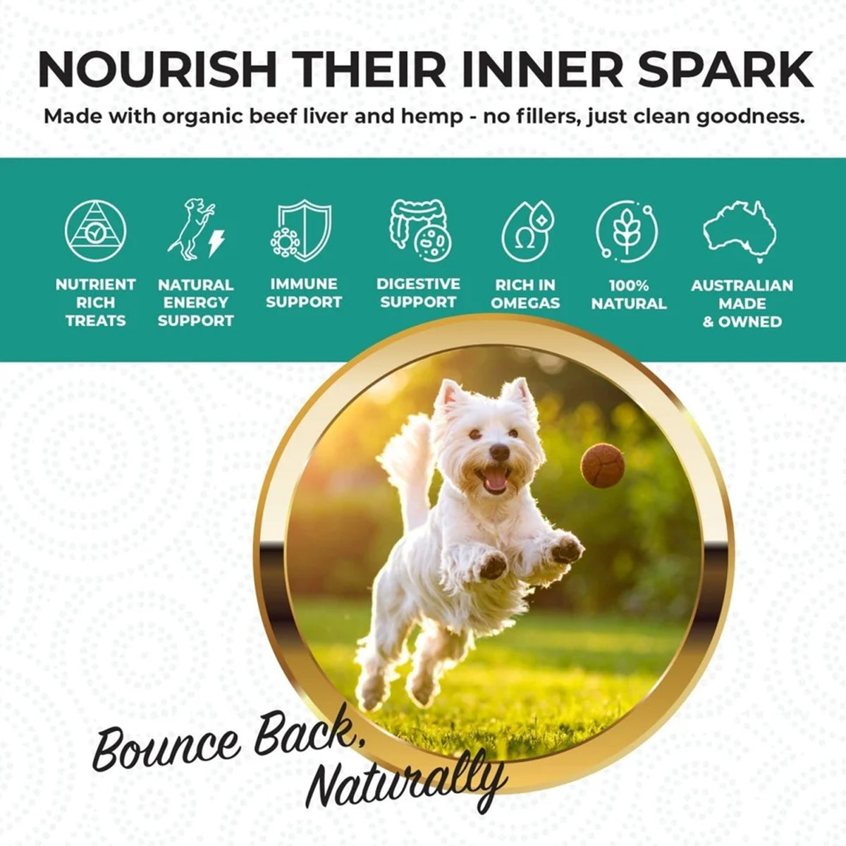 Vitality Support | Hemp Infused Organic Beef Liver Treats for Dogs | 80g