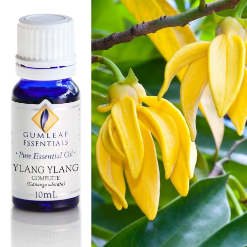Ylang Ylang Complete Pure Essential Oil