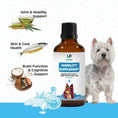 Load image into Gallery viewer, Mobility & Joint Support with Hoki Fish + MCT | 100ml
